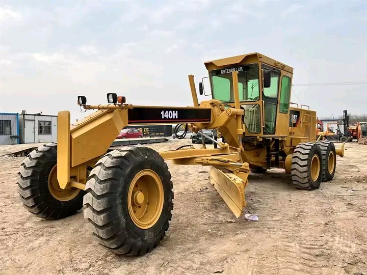 Kosi Cat